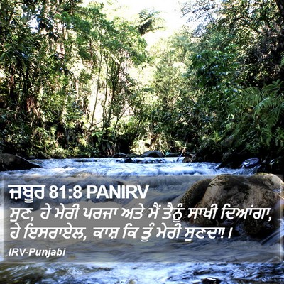 ਜ਼ਬੂਰ 81:8 PANIRV Bible Verse Image