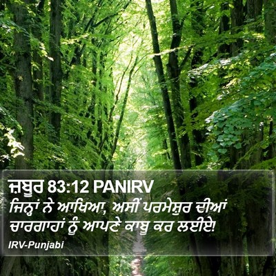 ਜ਼ਬੂਰ 83:12 PANIRV Bible Verse Image