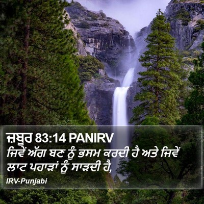 ਜ਼ਬੂਰ 83:14 PANIRV Bible Verse Image