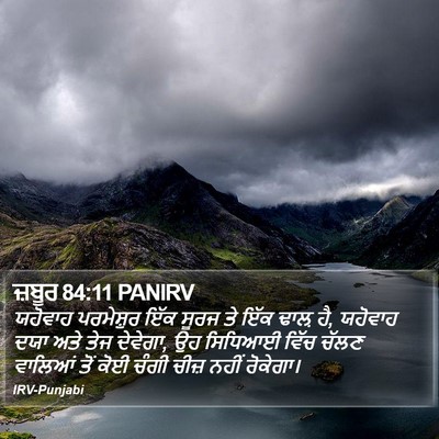 ਜ਼ਬੂਰ 84:11 PANIRV Bible Verse Image