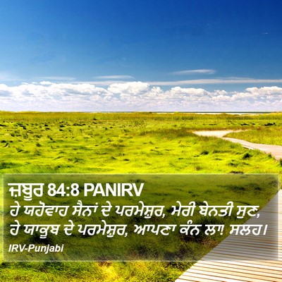 ਜ਼ਬੂਰ 84:8 PANIRV Bible Verse Image