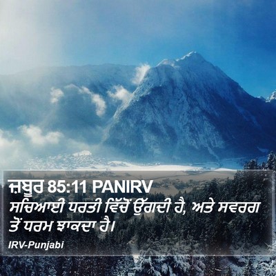 ਜ਼ਬੂਰ 85:11 PANIRV Bible Verse Image