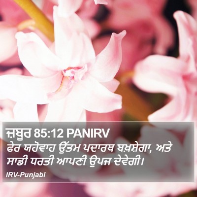 ਜ਼ਬੂਰ 85:12 PANIRV Bible Verse Image