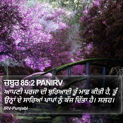 ਜ਼ਬੂਰ 85:2 PANIRV Bible Verse Image