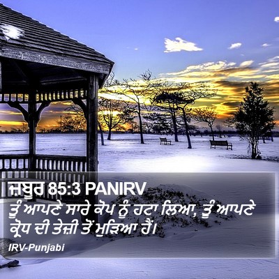 ਜ਼ਬੂਰ 85:3 PANIRV Bible Verse Image