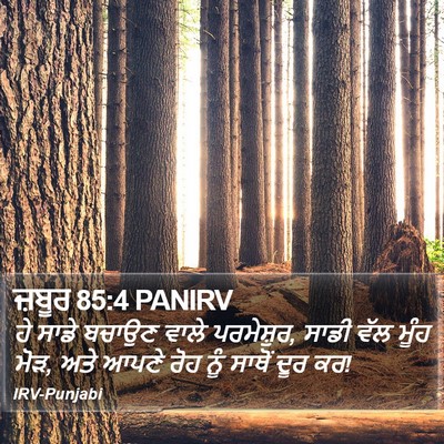 ਜ਼ਬੂਰ 85:4 PANIRV Bible Verse Image