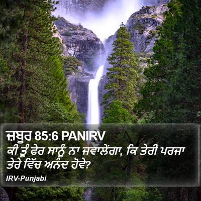 ਜ਼ਬੂਰ 85:6 PANIRV Bible Verse Image
