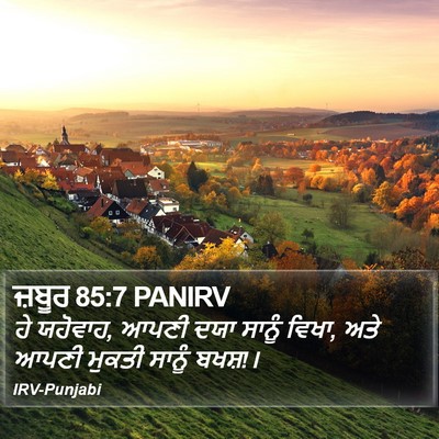 ਜ਼ਬੂਰ 85:7 PANIRV Bible Verse Image