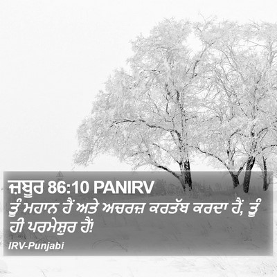 ਜ਼ਬੂਰ 86:10 PANIRV Bible Verse Image