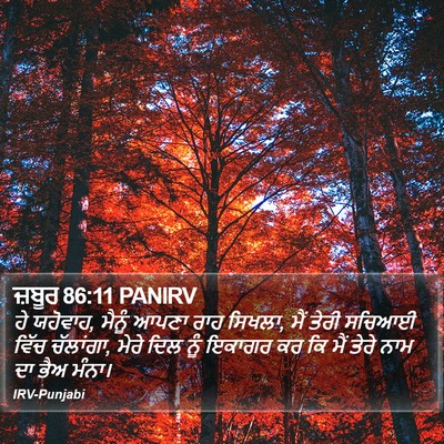 ਜ਼ਬੂਰ 86:11 PANIRV Bible Verse Image