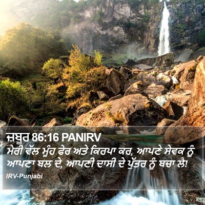 ਜ਼ਬੂਰ 86:16 PANIRV Bible Verse Image