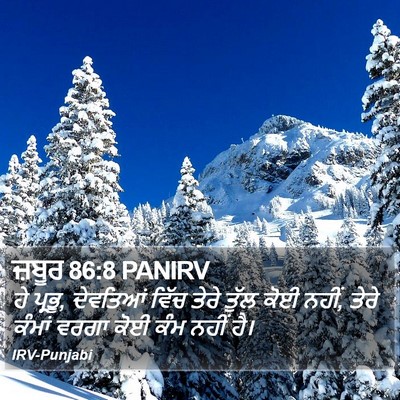 ਜ਼ਬੂਰ 86:8 PANIRV Bible Verse Image