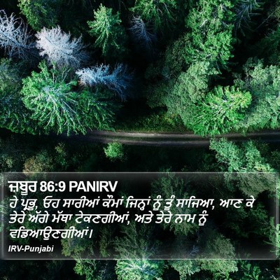 ਜ਼ਬੂਰ 86:9 PANIRV Bible Verse Image