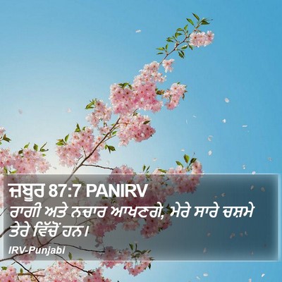 ਜ਼ਬੂਰ 87:7 PANIRV Bible Verse Image