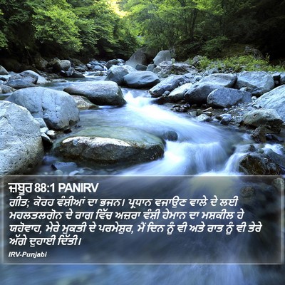 ਜ਼ਬੂਰ 88:1 PANIRV Bible Verse Image