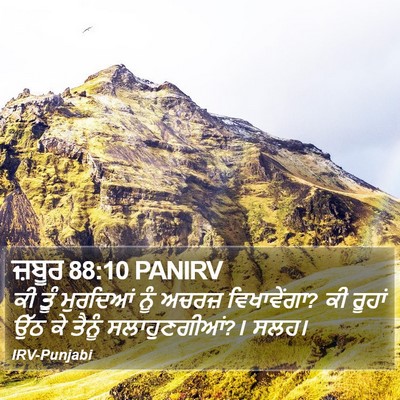 ਜ਼ਬੂਰ 88:10 PANIRV Bible Verse Image