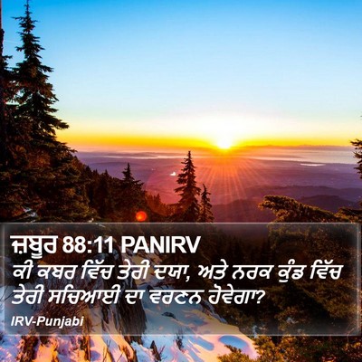 ਜ਼ਬੂਰ 88:11 PANIRV Bible Verse Image