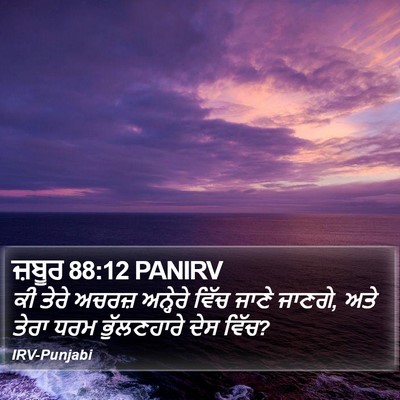 ਜ਼ਬੂਰ 88:12 PANIRV Bible Verse Image