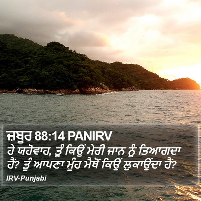 ਜ਼ਬੂਰ 88:14 PANIRV Bible Verse Image