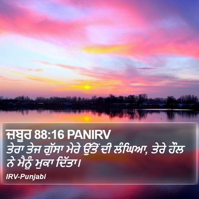 ਜ਼ਬੂਰ 88:16 PANIRV Bible Verse Image