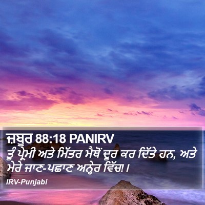 ਜ਼ਬੂਰ 88:18 PANIRV Bible Verse Image