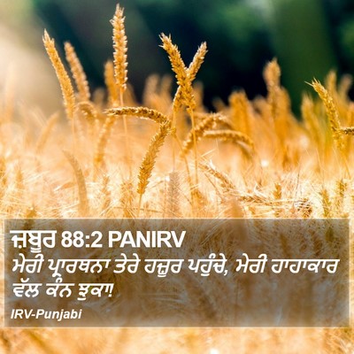 ਜ਼ਬੂਰ 88:2 PANIRV Bible Verse Image