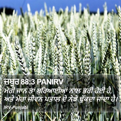 ਜ਼ਬੂਰ 88:3 PANIRV Bible Verse Image