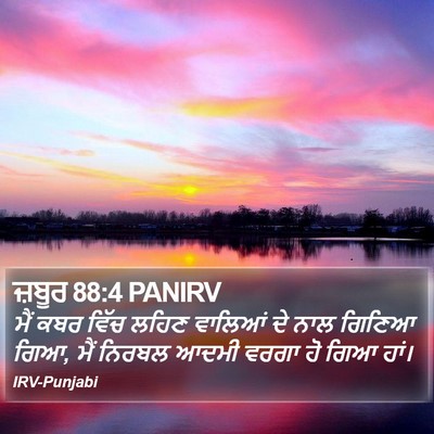 ਜ਼ਬੂਰ 88:4 PANIRV Bible Verse Image