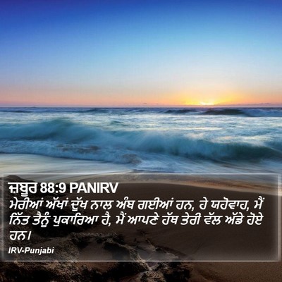 ਜ਼ਬੂਰ 88:9 PANIRV Bible Verse Image