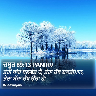 ਜ਼ਬੂਰ 89:13 PANIRV Bible Verse Image