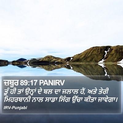 ਜ਼ਬੂਰ 89:17 PANIRV Bible Verse Image