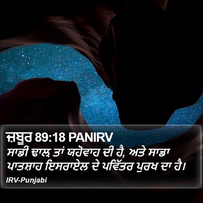 ਜ਼ਬੂਰ 89:18 PANIRV Bible Verse Image