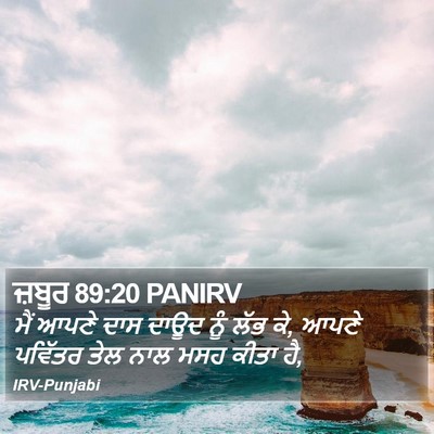 ਜ਼ਬੂਰ 89:20 PANIRV Bible Verse Image