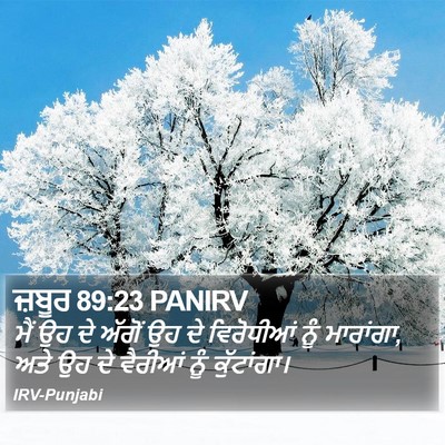 ਜ਼ਬੂਰ 89:23 PANIRV Bible Verse Image