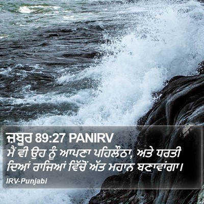 ਜ਼ਬੂਰ 89:27 PANIRV Bible Verse Image