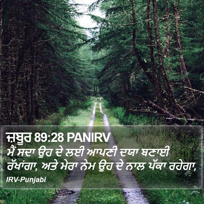 ਜ਼ਬੂਰ 89:28 PANIRV Bible Verse Image