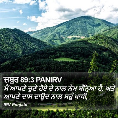 ਜ਼ਬੂਰ 89:3 PANIRV Bible Verse Image
