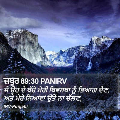 ਜ਼ਬੂਰ 89:30 PANIRV Bible Verse Image
