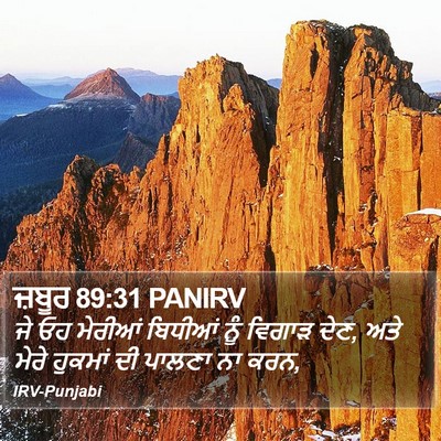 ਜ਼ਬੂਰ 89:31 PANIRV Bible Verse Image