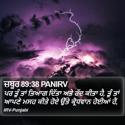 ਜ਼ਬੂਰ 89:38 PANIRV Bible Verse Image