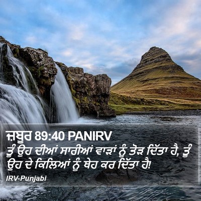 ਜ਼ਬੂਰ 89:40 PANIRV Bible Verse Image