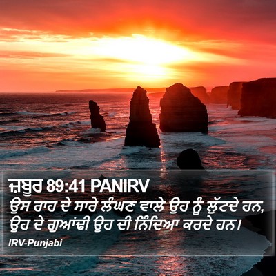ਜ਼ਬੂਰ 89:41 PANIRV Bible Verse Image