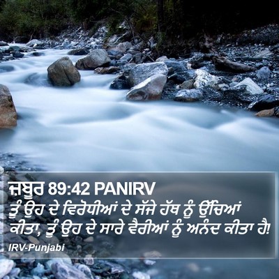 ਜ਼ਬੂਰ 89:42 PANIRV Bible Verse Image