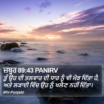 ਜ਼ਬੂਰ 89:43 PANIRV Bible Verse Image