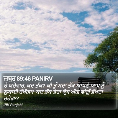 ਜ਼ਬੂਰ 89:46 PANIRV Bible Verse Image