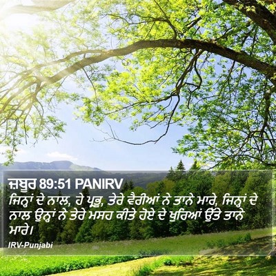 ਜ਼ਬੂਰ 89:51 PANIRV Bible Verse Image