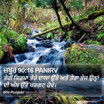ਜ਼ਬੂਰ 90:16 PANIRV Bible Verse Image