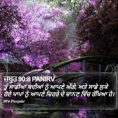 ਜ਼ਬੂਰ 90:8 PANIRV Bible Verse Image