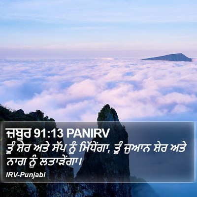 ਜ਼ਬੂਰ 91:13 PANIRV Bible Verse Image