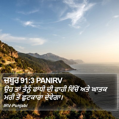 ਜ਼ਬੂਰ 91:3 PANIRV Bible Verse Image